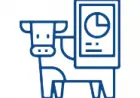 livestock management