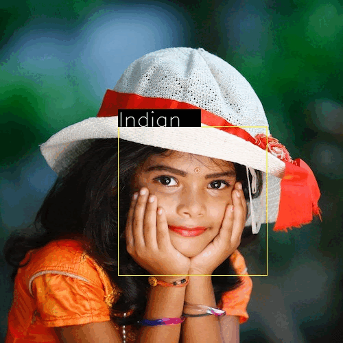 Ethnicity Detection with AI Facial Recognition