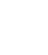 icon 1 icon 1