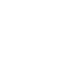icon 2 icon 2