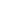 Scope and feasibility of the project 1 Scope and feasibility of the project 1