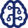 brain-circuit brain-circuit