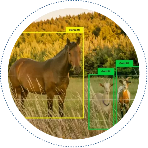 Automate Animal Detection, Counting, and Classification With AI