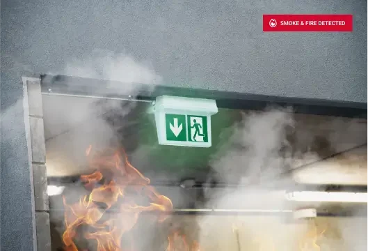 Fire and Smoke Detection (1) Fire and Smoke Detection (1)