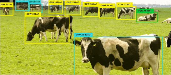Pose Detection Pose Detection