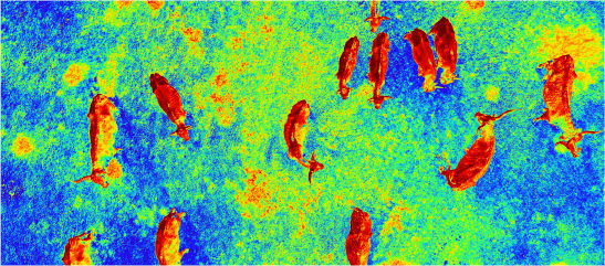 Thermal Imagery Support Thermal Imagery Support