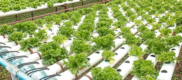 big data solution farming agriculture big data solution farming agriculture