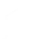 government